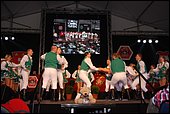 175.jpg