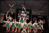 196.jpg