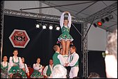 201.jpg