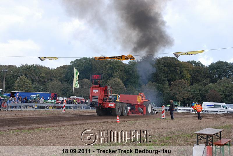 155.jpg