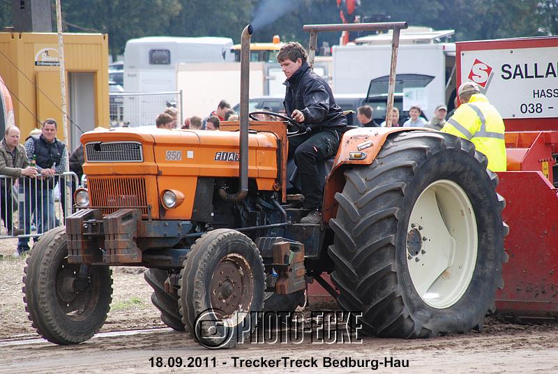 176.jpg