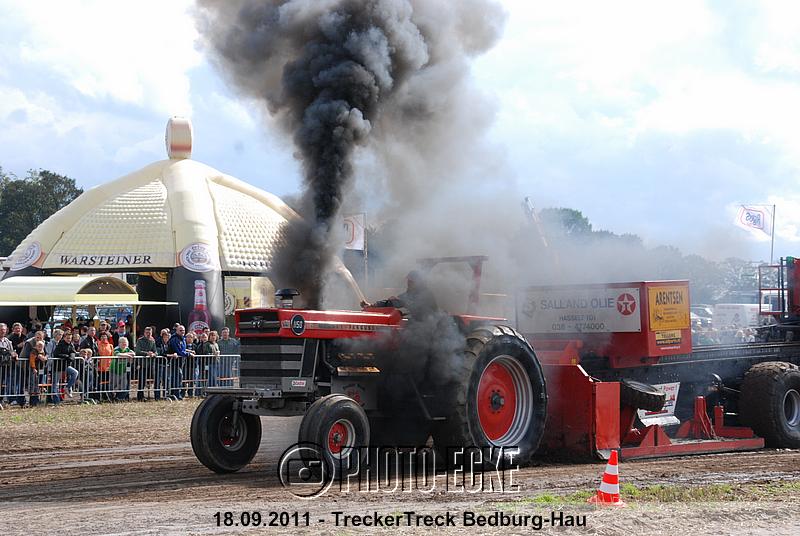 186.jpg