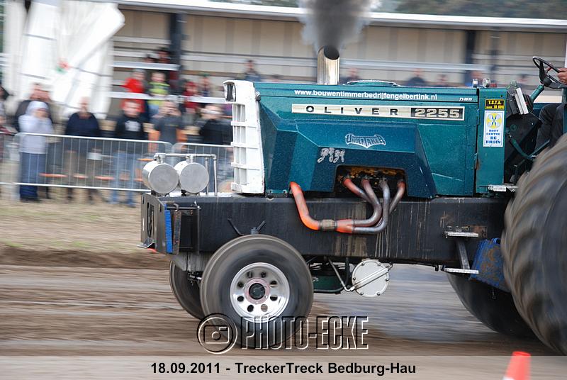 196.jpg