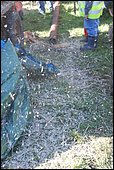 059.jpg
