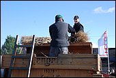 061.jpg