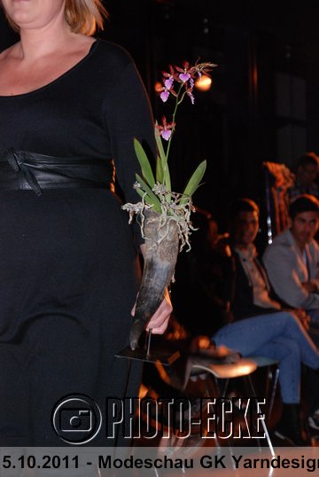 050.jpg