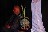 037.jpg