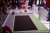 050.jpg