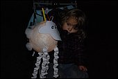 038.jpg