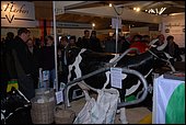 061.jpg