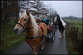 072.jpg